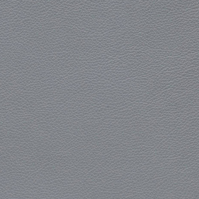 Palomaneutral grey